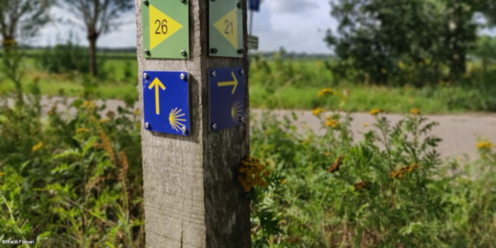 Paaltje met een blauw plaatje waarop een gele pijl en schelp staan die de richting aangeven 