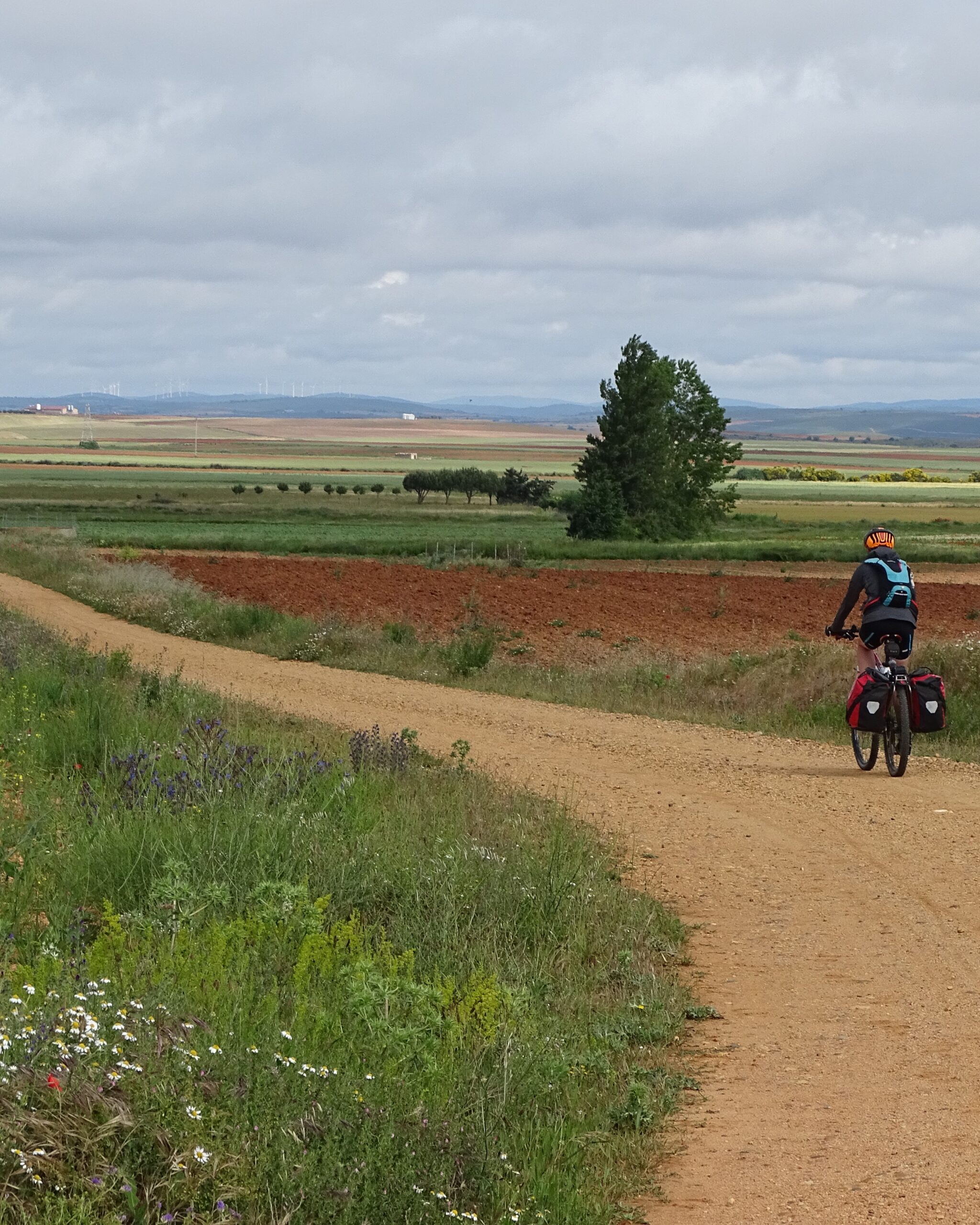 Fietser alleen in prachtig landschap