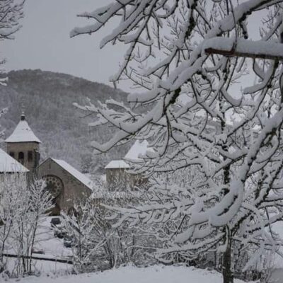 Albergue Roncesvalles gezien door een besneeuwde boom