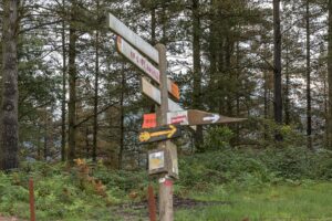 Paal met wegwijzers in vele richtingen in bosgebied