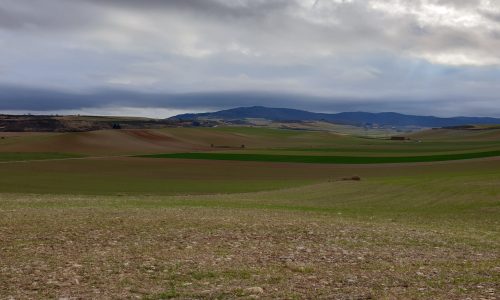 Wintercamino