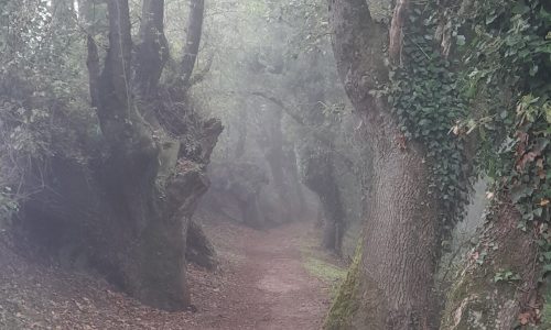20211009_121629