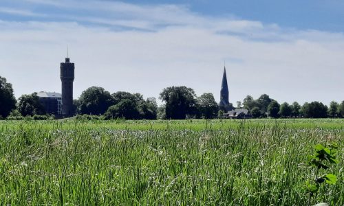wandeling landgoed Twickel