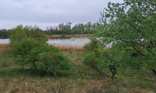 32026-04-18 at 21.59.49