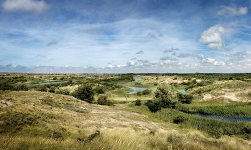 AMS amsterdamse-waterleidingduinen-overview