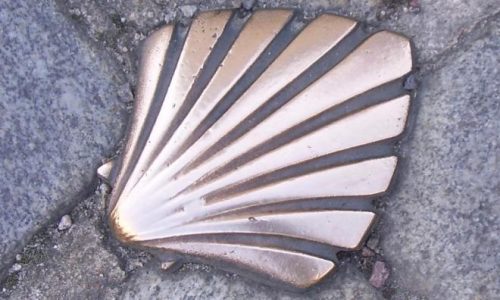 Coquille en bronze – Versie 2 (2)