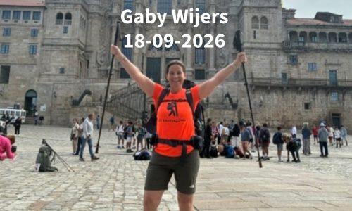 Gaby Wijers
