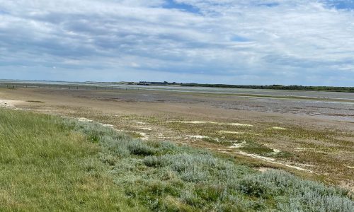 Regio NH TexelPHOTO-2022-07-13-22-12-06 2