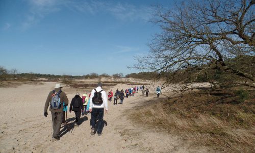 wandelaars in de drunense duinen