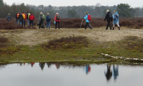 db-regio wandeling 2015-03 uden 01