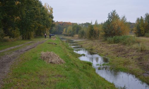 db-regio wandeling 2015-10 kampina 02